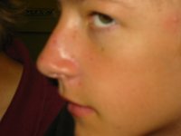 IMG 0441