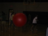 IMG 0463