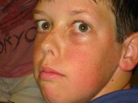 IMG 0466