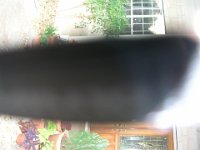 P4060006