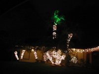 IMG 0653