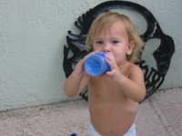 IMG 0559