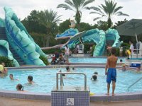 IMG 0520