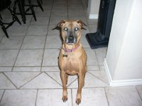 PC300001 : Artz/Lucky