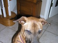 PC300002 : Artz/Lucky