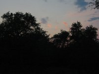 IMG 0717