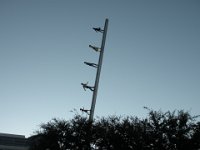 DSCN0022