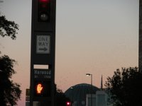 DSCN0028