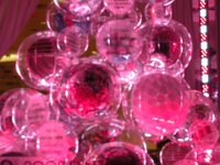 DSCN0049