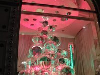 DSCN0051