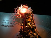 DSCN0062