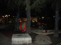 DSCN0071