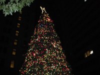 DSCN0073