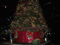 DSCN0077