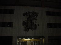 DSCN0082