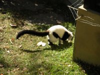 DSCN0093