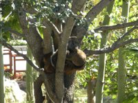 DSCN0094