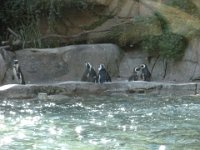 DSCN0095