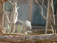DSCN0096