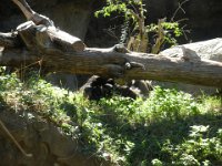 DSCN0097