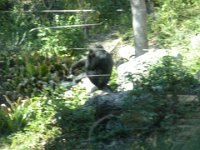 DSCN0098