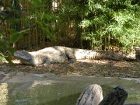 DSCN0108