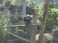 DSCN0111
