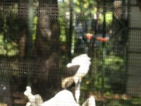 DSCN0126
