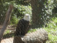 DSCN0134
