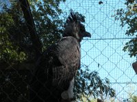 DSCN0138