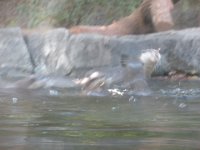 DSCN0144