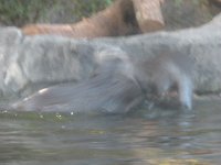 DSCN0145