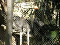 DSCN0148