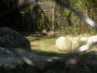 DSCN0157