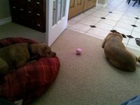 2011-03-07 16-12-15 172