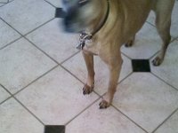 2012-01-01 12-10-01 723