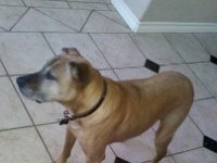 2012-01-01 12-10-16 928