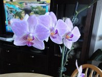 DSC07778