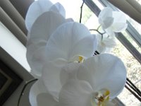 DSC07781