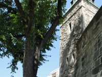 DSC07860