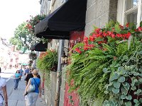 DSC07880