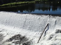DSC07972