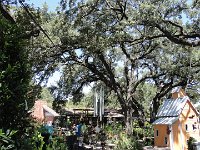 DSC08015