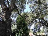 DSC08016