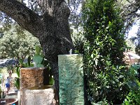DSC08017