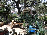 DSC08036
