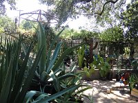 DSC08044