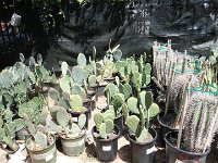 DSC08049