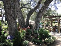 DSC08055