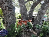 DSC08056